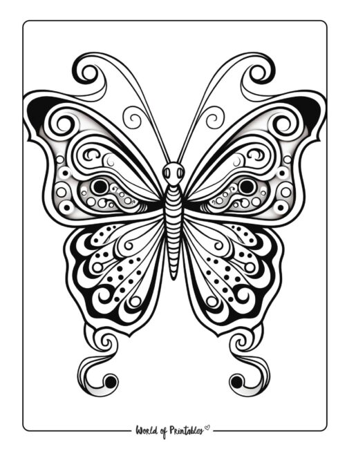 Butterfly Coloring Sheet 8