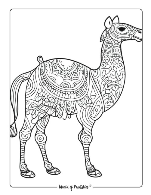 Camel Animal Coloring Page 3