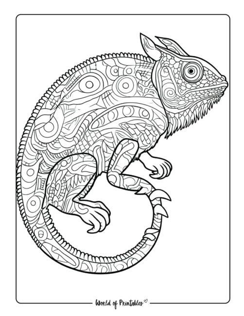 Chameleon Animal Coloring Page 4