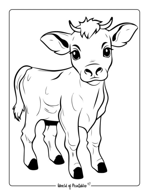 Cow Coloring Page 10