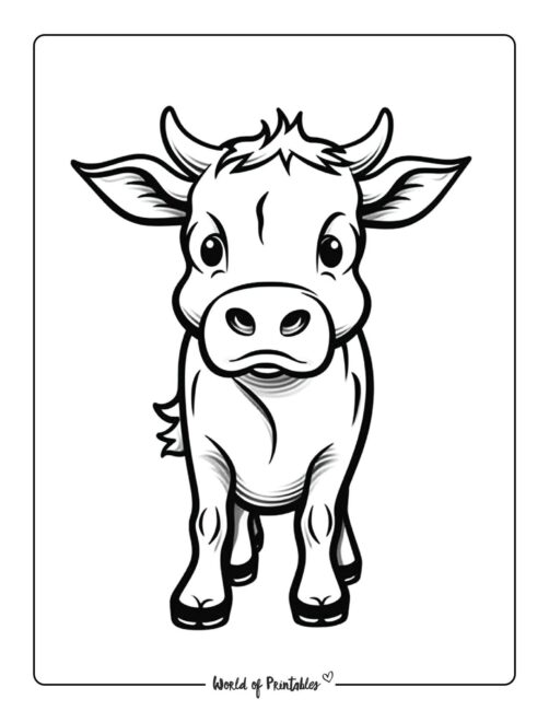 Cow Coloring Page 15
