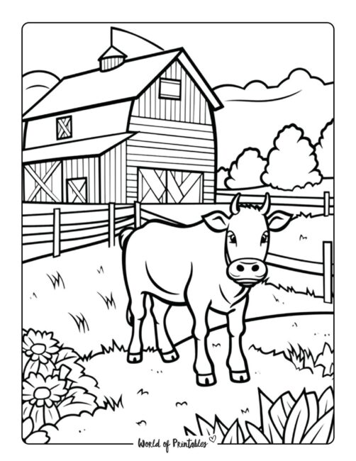 Cow Coloring Page 19