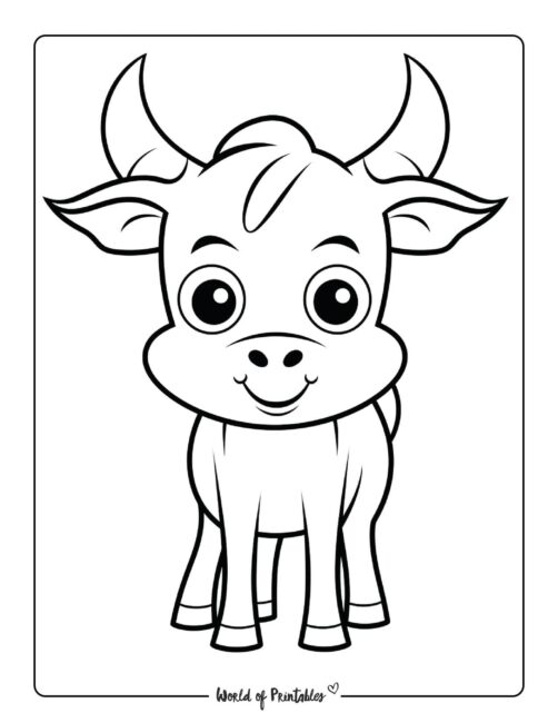 Cow Coloring Page 4