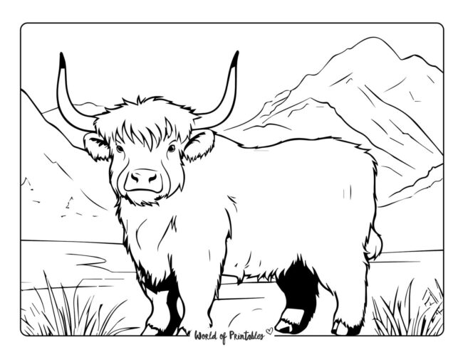 Cow Coloring Sheet 5