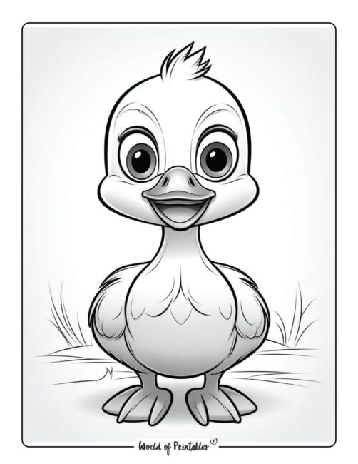 Cute Duck Animal Coloring Page