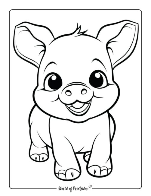Cute Pig Animal Coloring Page