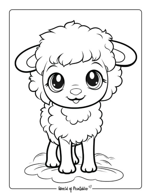 Cute Sheep Animal Coloring Page 4