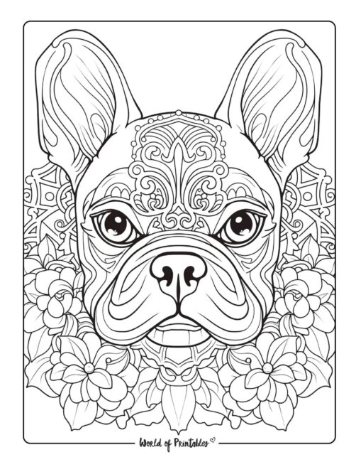 Adult Dog Coloring Page 14
