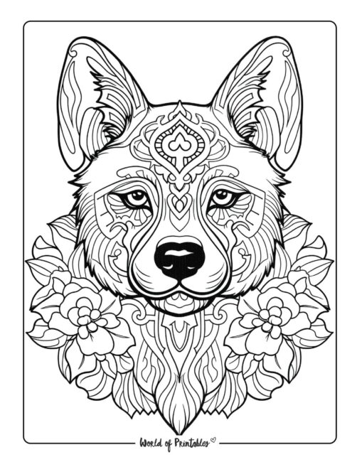 Adult Dog Coloring Page 42