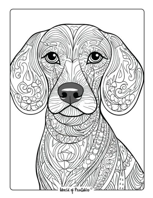Adult Dog Coloring Page 79