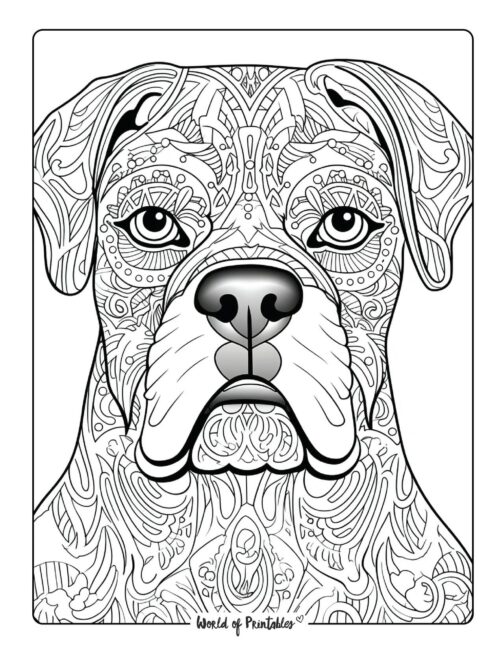 Adult Dog Coloring Page 81