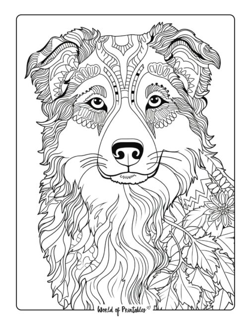 Dog Coloring 91