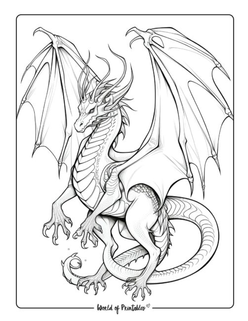 Dragon Coloring 14