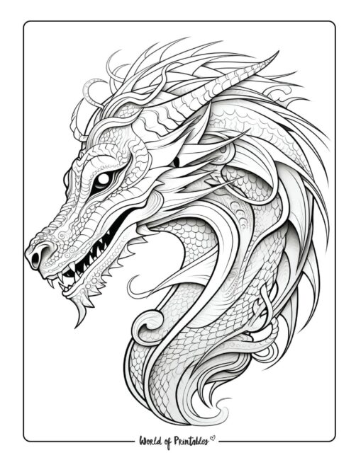 Dragon Coloring 44