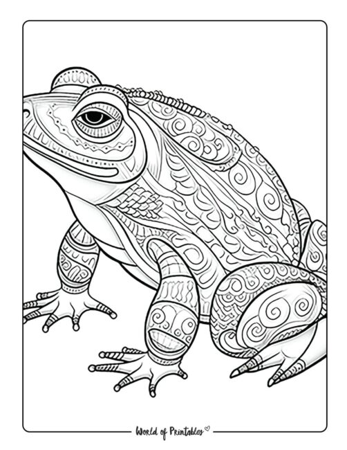 Frog Animal Coloring Page 2