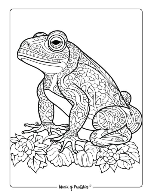 Frog Animal Coloring Page