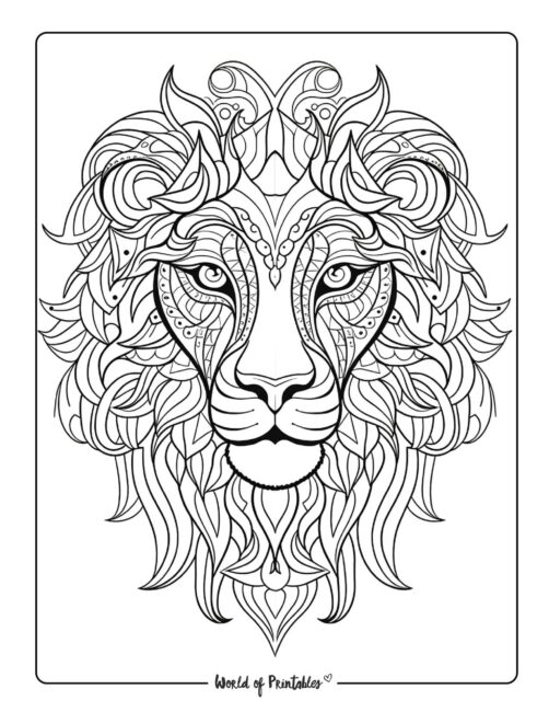 Lion Animal Coloring Page 2
