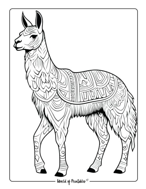 Llama Animal Coloring Page