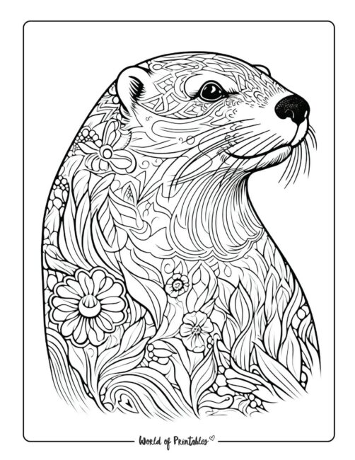 Otter Animal Coloring Page 2