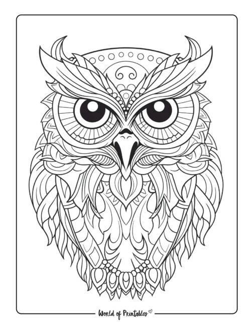 Owl Animal Coloring Page