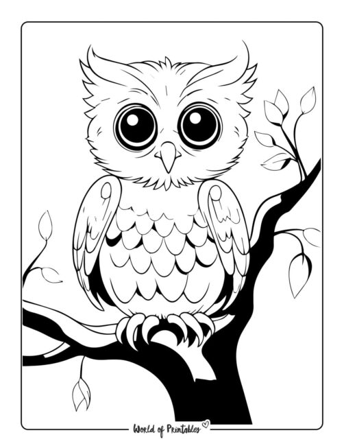 Owl Coloring Page 30