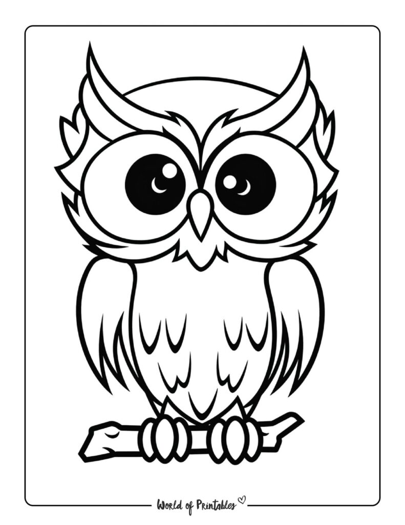 Owl Coloring Pages For Kids & Adults - World of Printables