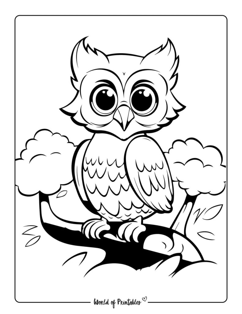 Owl Coloring Pages For Kids & Adults - World of Printables