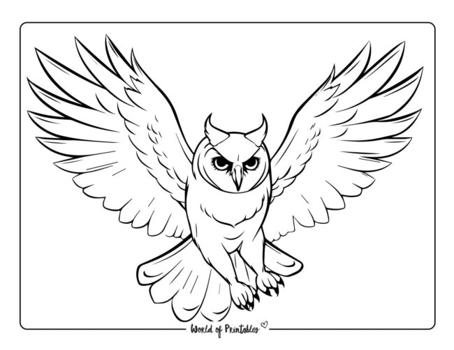 Owl Coloring Sheet 1