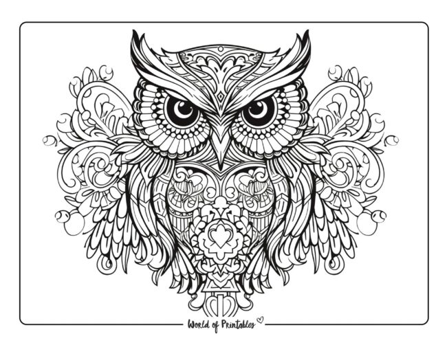 Owl Coloring Sheet 13