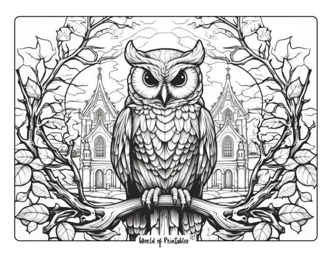 Owl Coloring Sheet 22