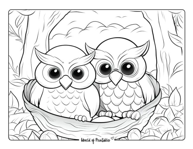 Owl Coloring Sheet 34