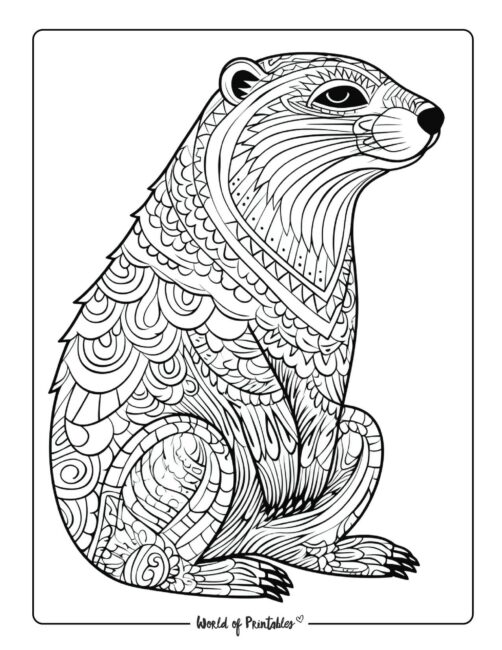 Raccoon Animal Coloring Page 5