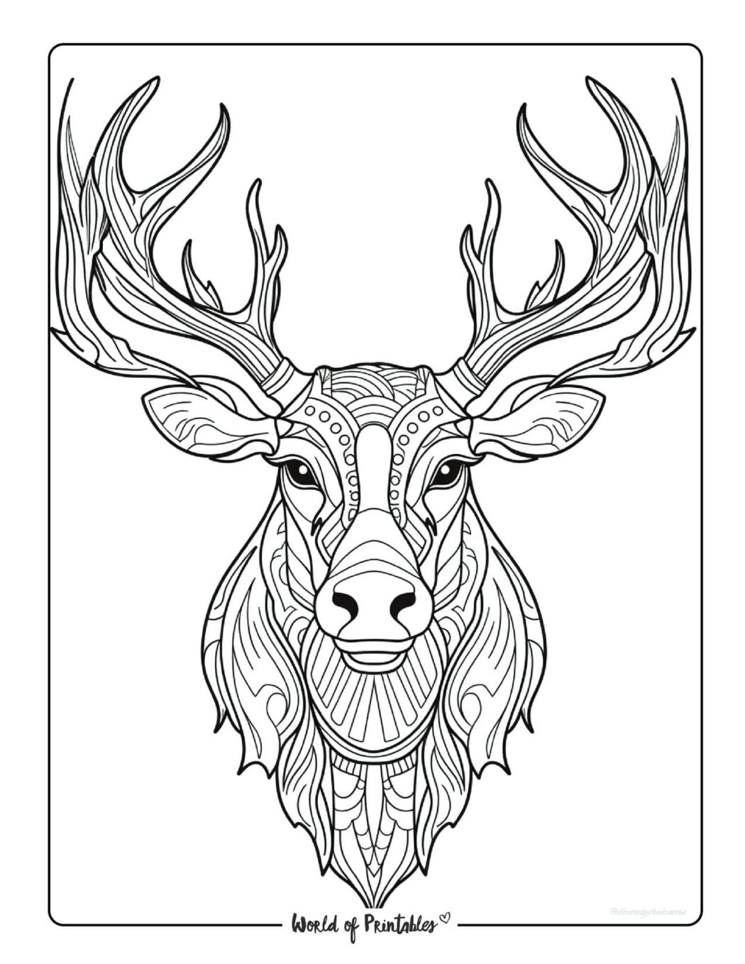 Animal Coloring Pages For Kids Adults World of Printables Animal Coloring Pages For Kids Adults World of Printables