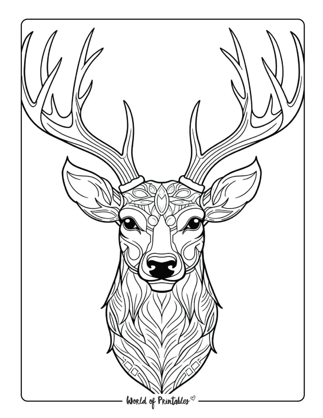 Animal Coloring Pages For Kids & Adults - World of Printables