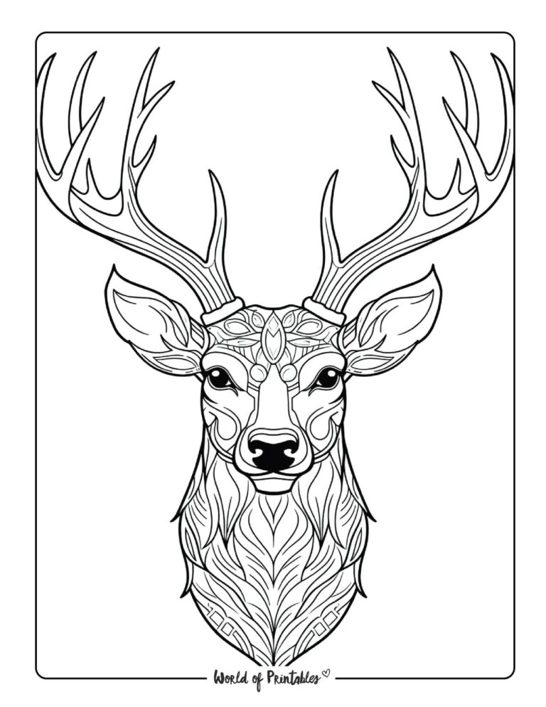 Animal Coloring Pages For Kids Adults World of Printables Animal Coloring Pages For Kids Adults World of Printables