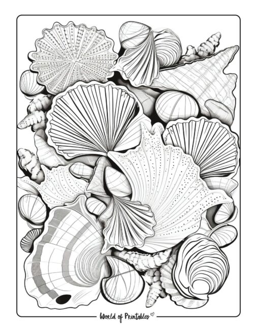 variety of shells on beach coloring page