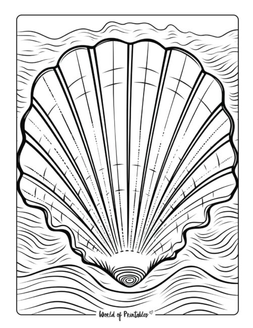 shell coloring page for adults