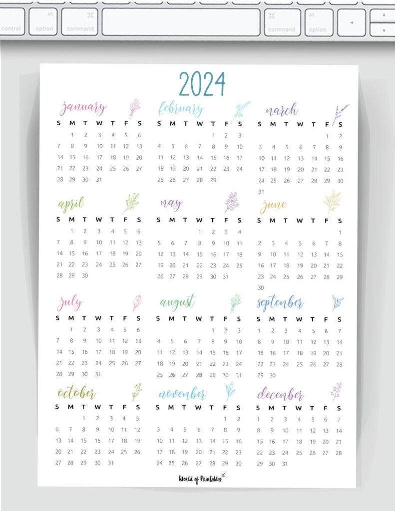 colorful cute botanical 2024 year calendar