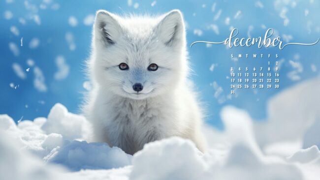 December Calendar Wallpaper 12