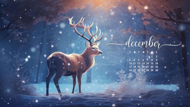 December Calendar Wallpaper 17