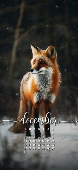 December Phone Wallpaper Cute Fox