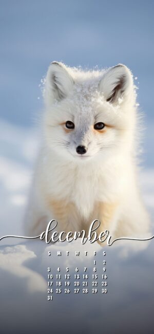 December Phone Wallpaper Snow Fox