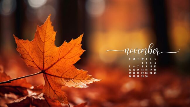 November Calendar Wallpaper 8