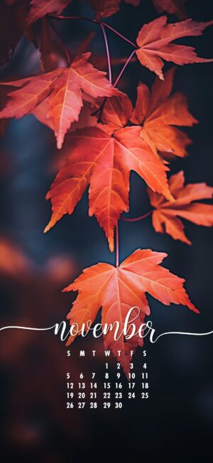 November Phone Calendar Wallpaper 13