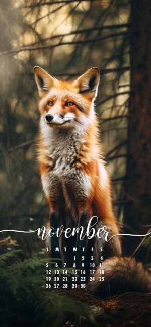 November Phone Wallpaper Fox Background