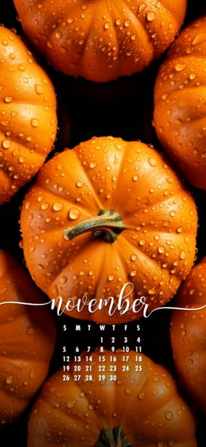 November Phone Wallpaper Pumpkins
