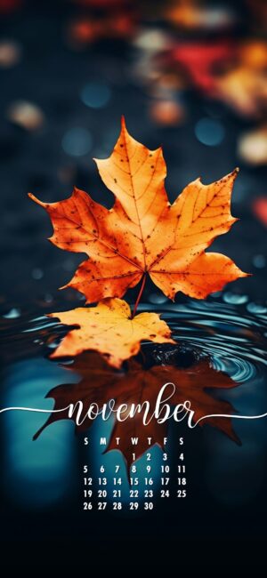 November Phone Wallpaper autumn leaves