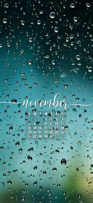 November Phone Wallpaper window rain