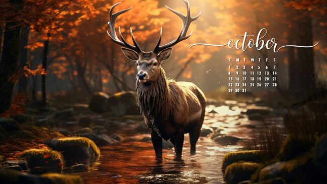October Calendar Wallpaper 16