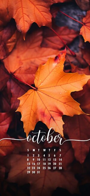 October Phone Wallpaper Fall Leaves Background